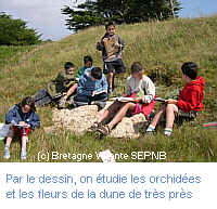 club nature